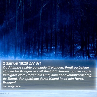 2 Samuel 18:28 DA1871 Bible Verse Image