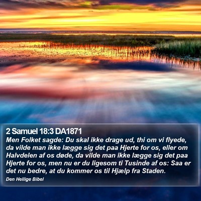 2 Samuel 18:3 DA1871 Bible Verse Image