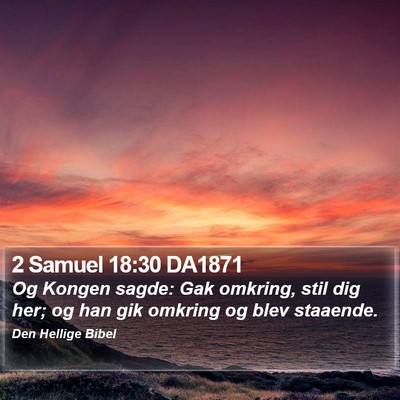 2 Samuel 18:30 DA1871 Bible Verse Image