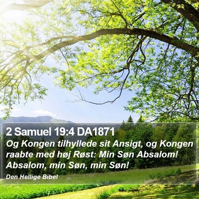 2 Samuel 19:4 DA1871 Bible Verse Image