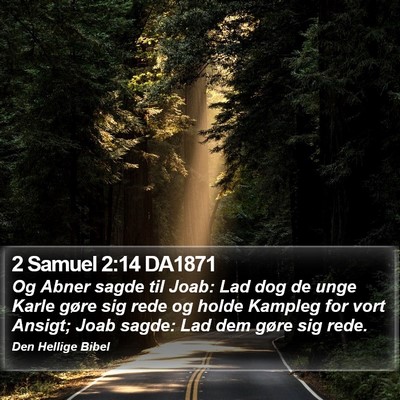 2 Samuel 2:14 DA1871 Bible Verse Image