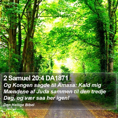 2 Samuel 20:4 DA1871 Bible Verse Image