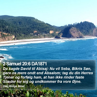 2 Samuel 20:6 DA1871 Bible Verse Image