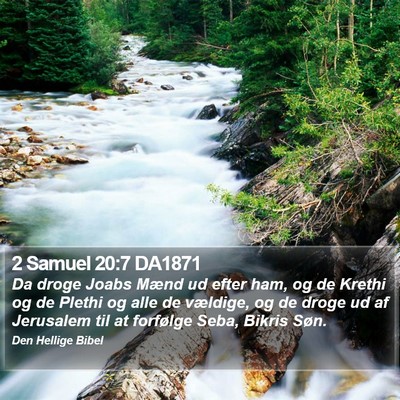 2 Samuel 20:7 DA1871 Bible Verse Image