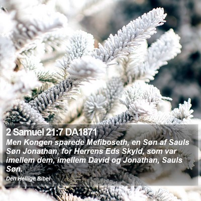 2 Samuel 21:7 DA1871 Bible Verse Image