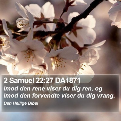 2 Samuel 22:27 DA1871 Bible Verse Image
