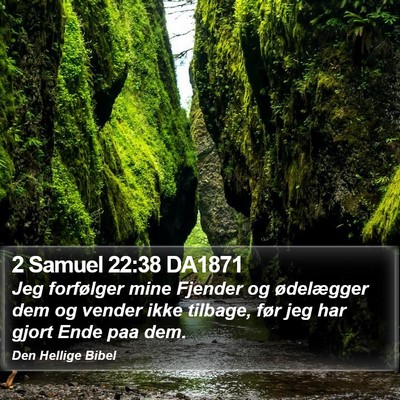 2 Samuel 22:38 DA1871 Bible Verse Image