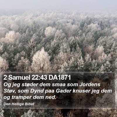 2 Samuel 22:43 DA1871 Bible Verse Image