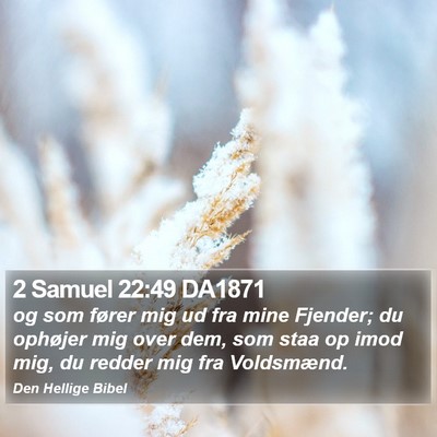 2 Samuel 22:49 DA1871 Bible Verse Image
