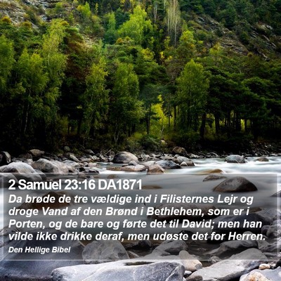 2 Samuel 23:16 DA1871 Bible Verse Image