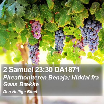 2 Samuel 23:30 DA1871 Bible Verse Image