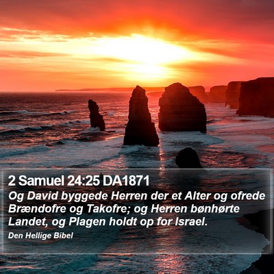 2 Samuel 24:25 DA1871 Bible Verse Image