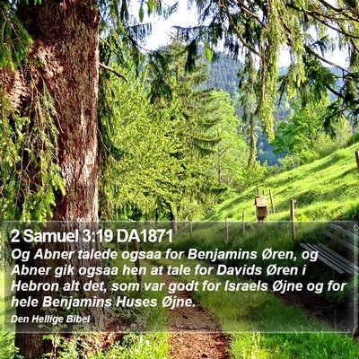 2 Samuel 3:19 DA1871 Bible Verse Image