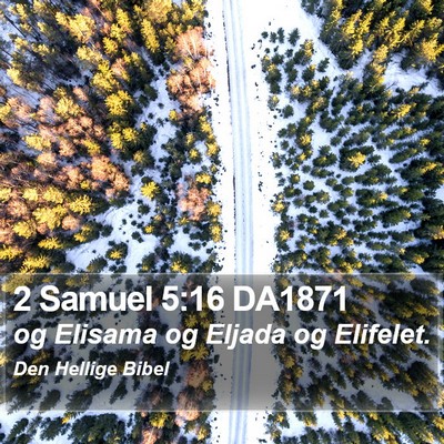 2 Samuel 5:16 DA1871 Bible Verse Image