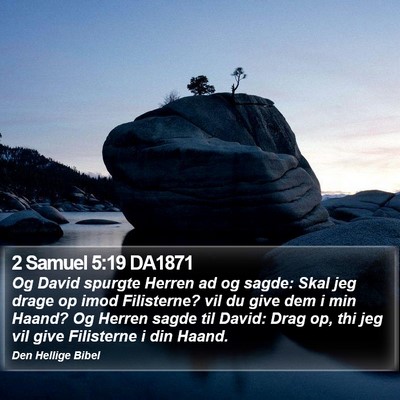 2 Samuel 5:19 DA1871 Bible Verse Image