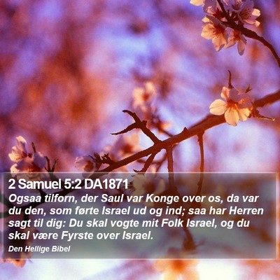 2 Samuel 5:2 DA1871 Bible Verse Image