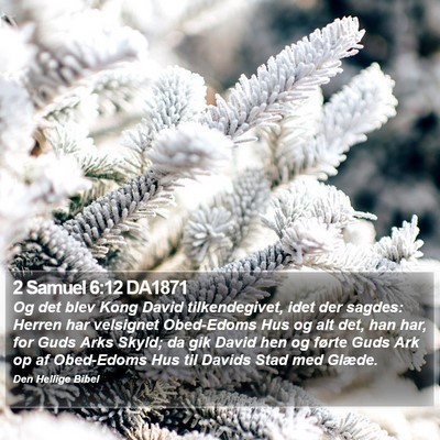 2 Samuel 6:12 DA1871 Bible Verse Image