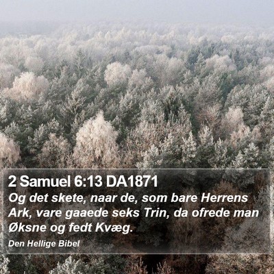 2 Samuel 6:13 DA1871 Bible Verse Image