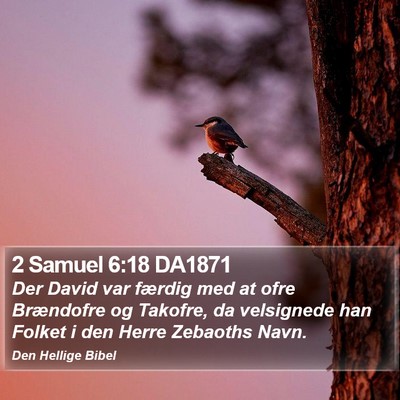 2 Samuel 6:18 DA1871 Bible Verse Image