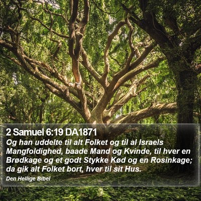 2 Samuel 6:19 DA1871 Bible Verse Image
