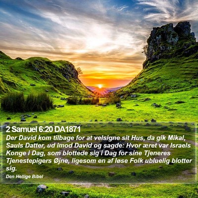 2 Samuel 6:20 DA1871 Bible Verse Image