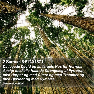 2 Samuel 6:5 DA1871 Bible Verse Image