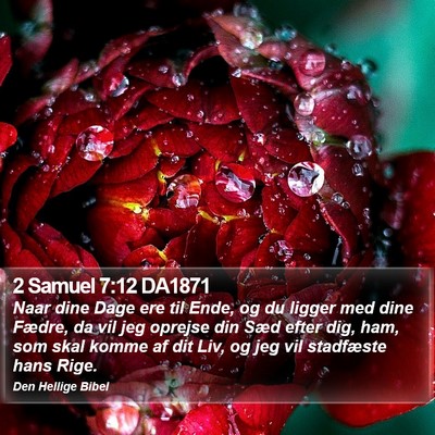 2 Samuel 7:12 DA1871 Bible Verse Image