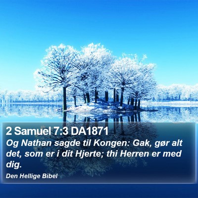 2 Samuel 7:3 DA1871 Bible Verse Image