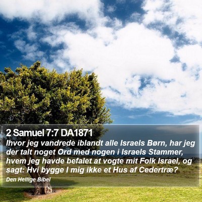 2 Samuel 7:7 DA1871 Bible Verse Image