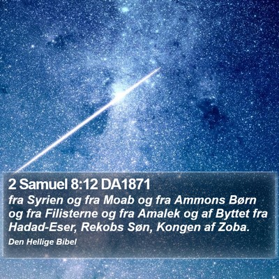 2 Samuel 8:12 DA1871 Bible Verse Image