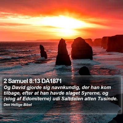2 Samuel 8:13 DA1871 Bible Verse Image