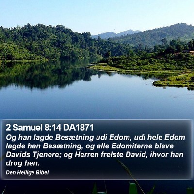 2 Samuel 8:14 DA1871 Bible Verse Image