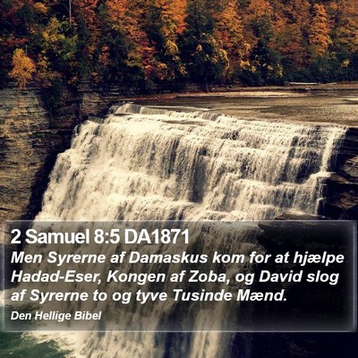 2 Samuel 8:5 DA1871 Bible Verse Image