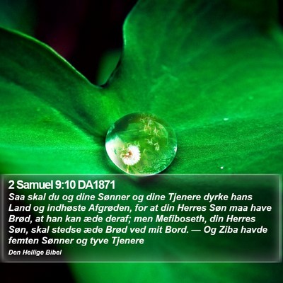 2 Samuel 9:10 DA1871 Bible Verse Image