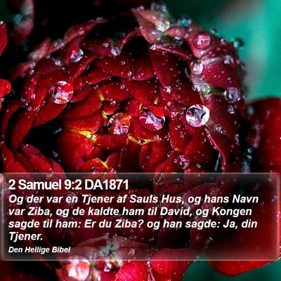 2 Samuel 9:2 DA1871 Bible Verse Image