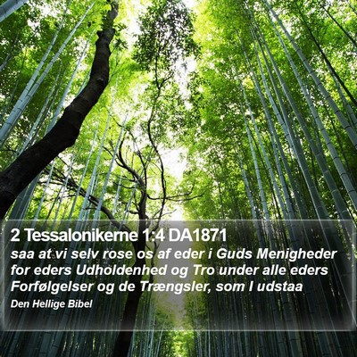 2 Tessalonikerne 1:4 DA1871 Bible Verse Image