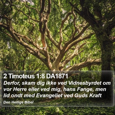 2 Timoteus 1:8 DA1871 Bible Verse Image