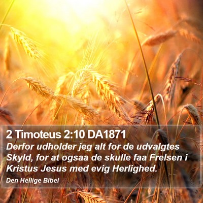 2 Timoteus 2:10 DA1871 Bible Verse Image