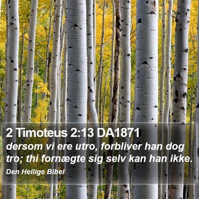 2 Timoteus 2:13 DA1871 Bible Verse Image