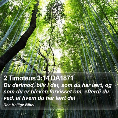 2 Timoteus 3:14 DA1871 Bible Verse Image