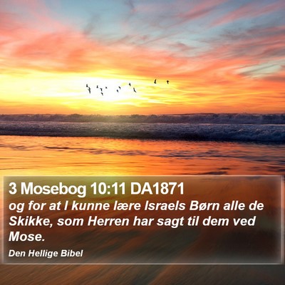 3 Mosebog 10:11 DA1871 Bible Verse Image