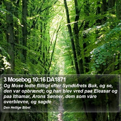 3 Mosebog 10:16 DA1871 Bible Verse Image