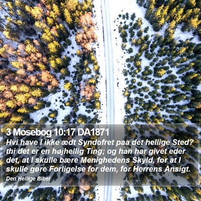 3 Mosebog 10:17 DA1871 Bible Verse Image