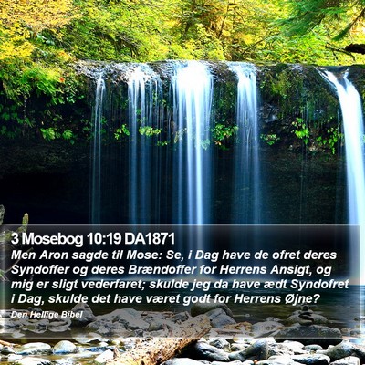 3 Mosebog 10:19 DA1871 Bible Verse Image