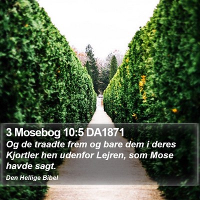 3 Mosebog 10:5 DA1871 Bible Verse Image