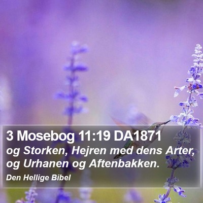 3 Mosebog 11:19 DA1871 Bible Verse Image