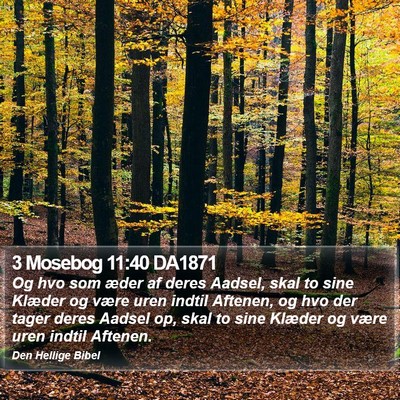 3 Mosebog 11:40 DA1871 Bible Verse Image