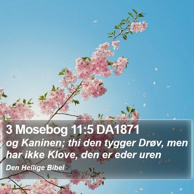 3 Mosebog 11:5 DA1871 Bible Verse Image