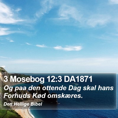 3 Mosebog 12:3 DA1871 Bible Verse Image