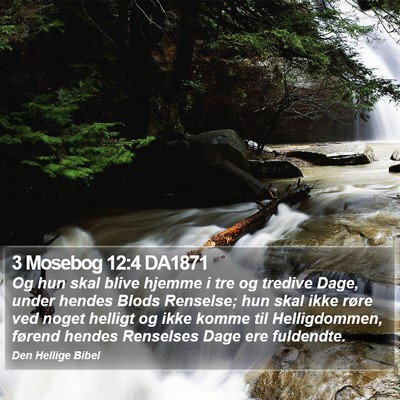 3 Mosebog 12:4 DA1871 Bible Verse Image